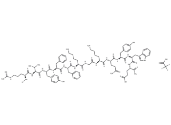 VnP-16 TFA