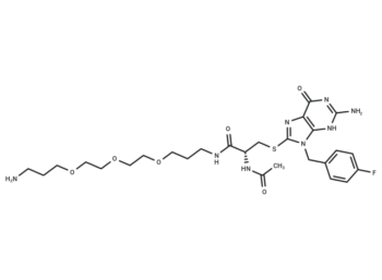 FBnG-(Cys-acetamide)-CH2-PEG3-CH2-CH2-CH2-NH2
