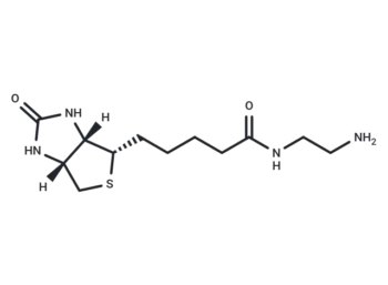 Biotin-EDA