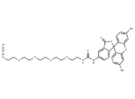 Fluorescein-thiourea-PEG4-azide