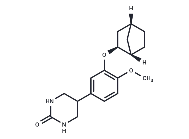 CP 80633 CgoaEWY7O WEVrnJAAAAAMYH46A248- Immunomart