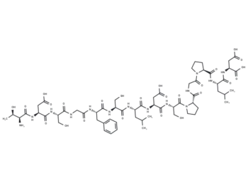 Cdc25A (80-93) (human)