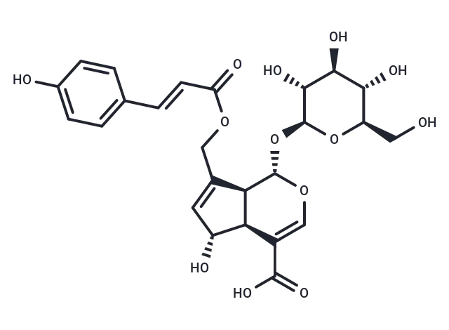 10-O-trans-p-coumaroylscandoside CgoaEWY7O4GEByhuAAAAAAZRwr4584- Immunomart