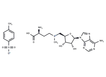 S-(5'-Adenosyl)-L-methionine tosylate