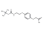 Boc-NH-PEG1-Ph-O-CH2COOH