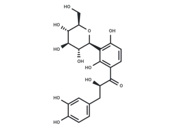 Coatline B
