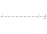 Mal-amido-PEG8-C2-acid