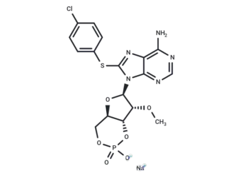 8-CPT-2Me-cAMP, sodium salt