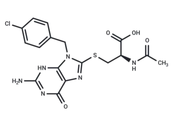 E3 ligase Ligand 18