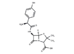Amoxicillin