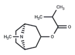 Tropine isobutyrate 1 Tropine isobutyrate