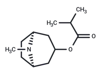 Tropine isobutyrate