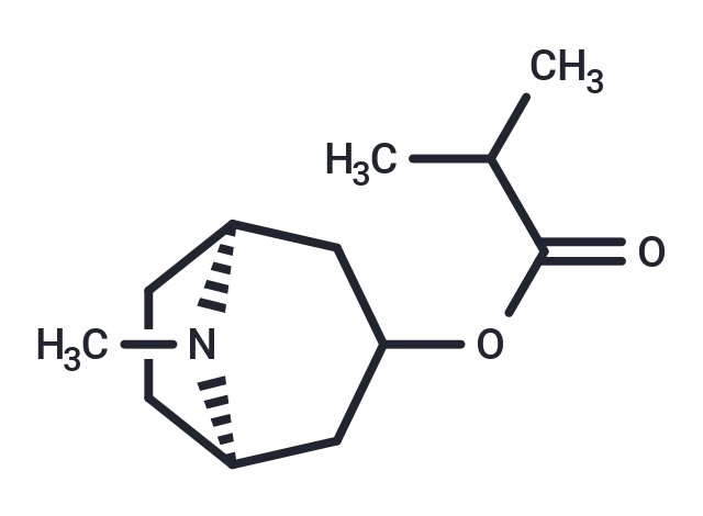 Tropine isobutyrate CgoaEWY7OHyEMd7RAAAAAGYetBA712- Immunomart