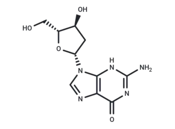 2'-Deoxyguanosine
