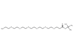 NH2-PEG6-Boc