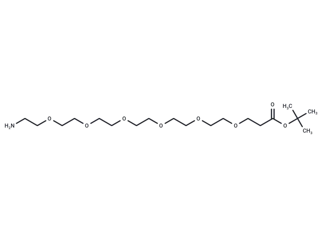 NH2-PEG6-Boc