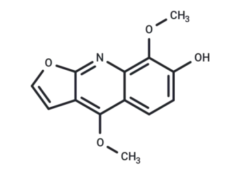 Haplopine