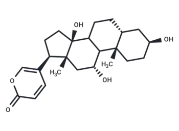 Gamabufotalin (Gamabufagin; Gamabufogenin)