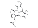 12-O-Acetylrosmarinine 1 12-O-Acetylrosmarinine