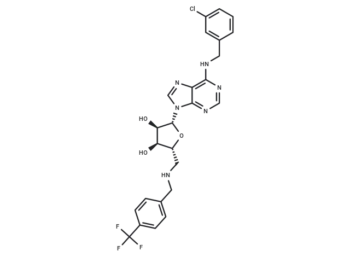 XSJ2-46