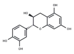 Catechin