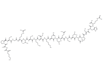 Cholecystokinin (1-21)