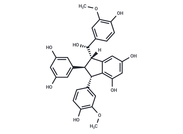 Gnetuhainin I CgoaEWY7OXSEVr3RAAAAANShwl0462- Immunomart