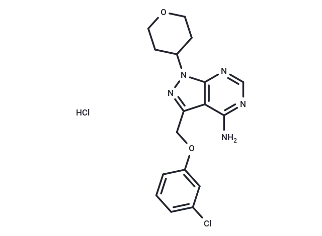 PF 4800567 hydrochloride CgoaEWY7OXmEdhXiAAAAAJTn Rc143- Immunomart