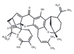 Epigambogellic acid