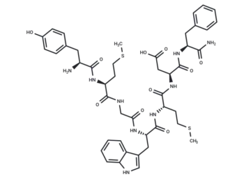 CCK (27-33) (non-sulfated)