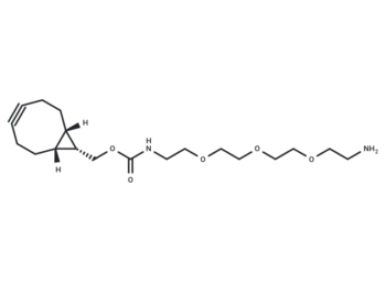 endo-BCN-PEG3-NH2