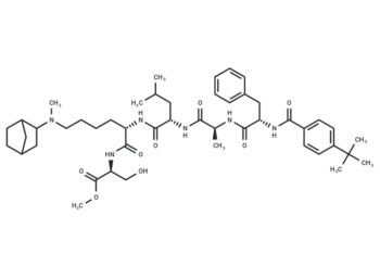 UNC4976