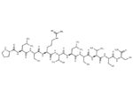 Calmodulin Dependent Protein Kinase Substrate