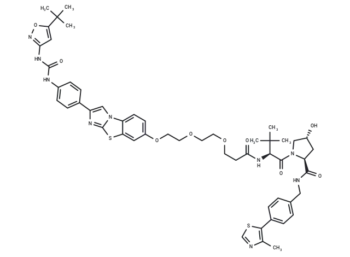 PROTAC FLT-3 degrader 1