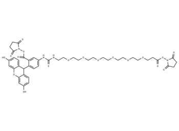 Fluorescein-PEG6-bis-NHS ester