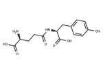 γ-Glu-Tyr