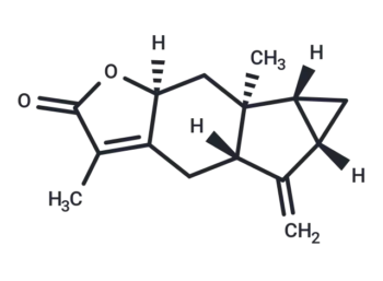 Shizukanolide