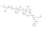 Neuropeptide SF (human)