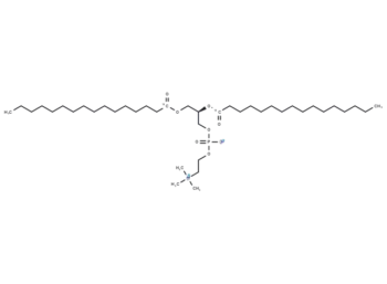 1,2-Dipalmitoyl-13C-sn-glycero-3-PC