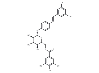 Resveratrol 4'-(6-galloylglucoside)