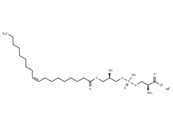 1-Oleoyl-2-hydroxy-sn-glycero-3-phospho-L-serine sodium