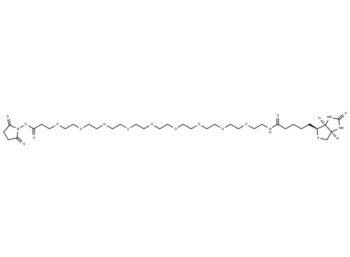 Biotin-PEG9-NHS Ester
