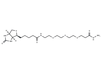 Biotin-PEG3-propionic hydrazide