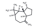 (+)-Aromadendrene
