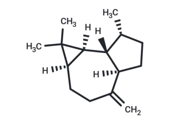 (+)-Aromadendrene