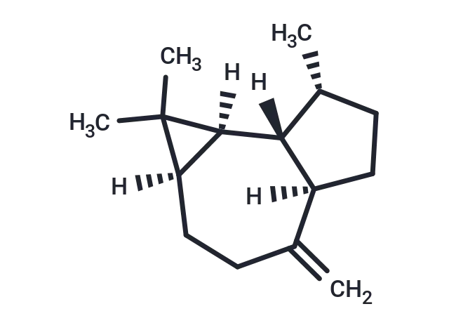 (+)-Aromadendrene