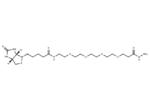 Biotin-PEG4-hydrazide