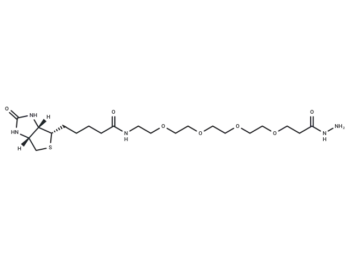 Biotin-PEG4-hydrazide