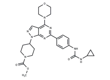 WYE-23