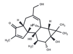 4-Deoxy-4α-phorbol